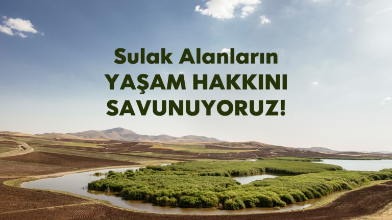 sulak-alanlar-twpost
