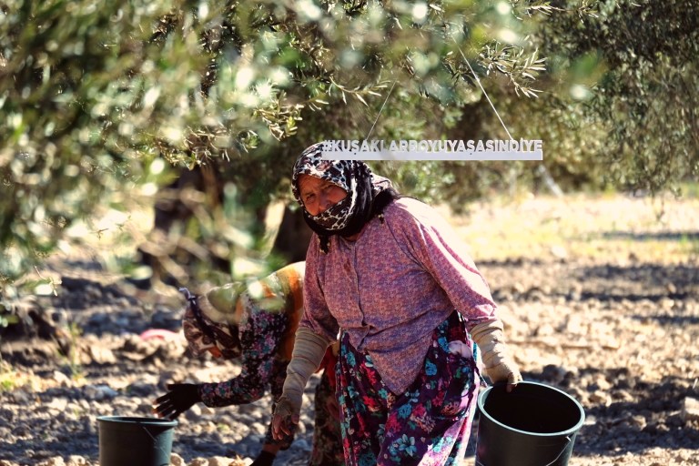 Batuhan Sarıcan