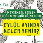 eylülde ne yenir