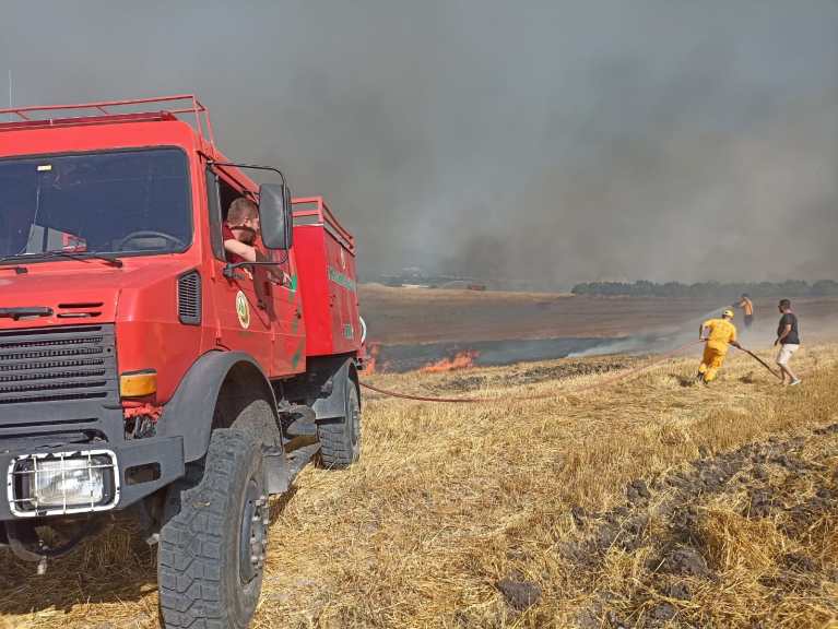 Fotoğraf: OGM