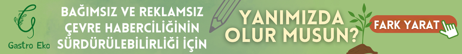 cropped-cropped-destek-gastro-eko-333.png